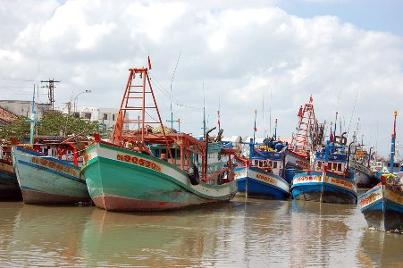 Nghiệp đoàn Nghề cá - điểm tựa của ngư dân Kiên Giang